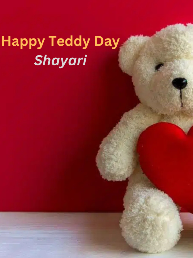 Happy Teddy Day Shayari