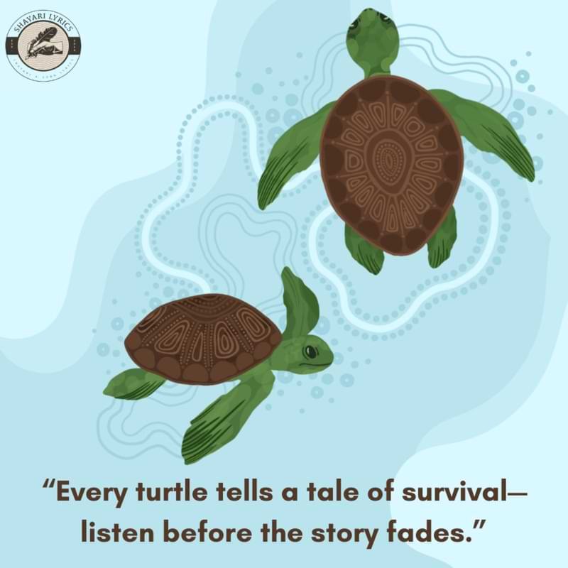 “Every turtle tells a tale of survival—listen before the story fades.”