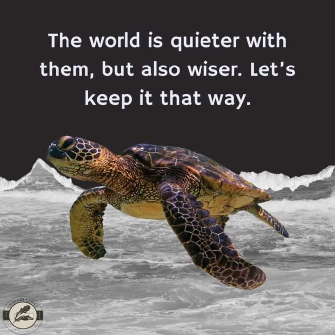 The world is quieter with them, but also wiser. Let’s keep it that way.