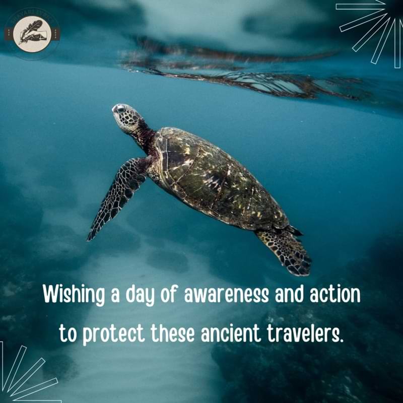Wishing a day of awareness and action to protect these ancient travelers.