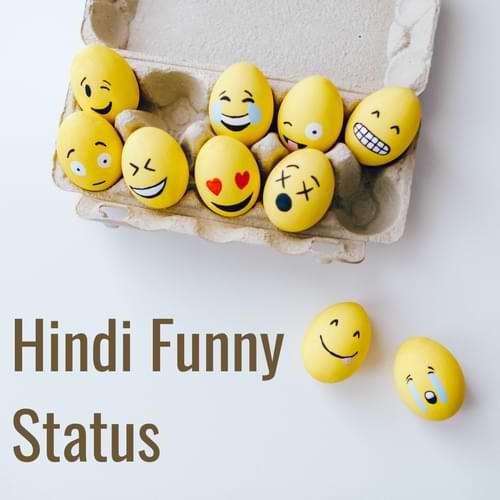 Hindi Funny Status