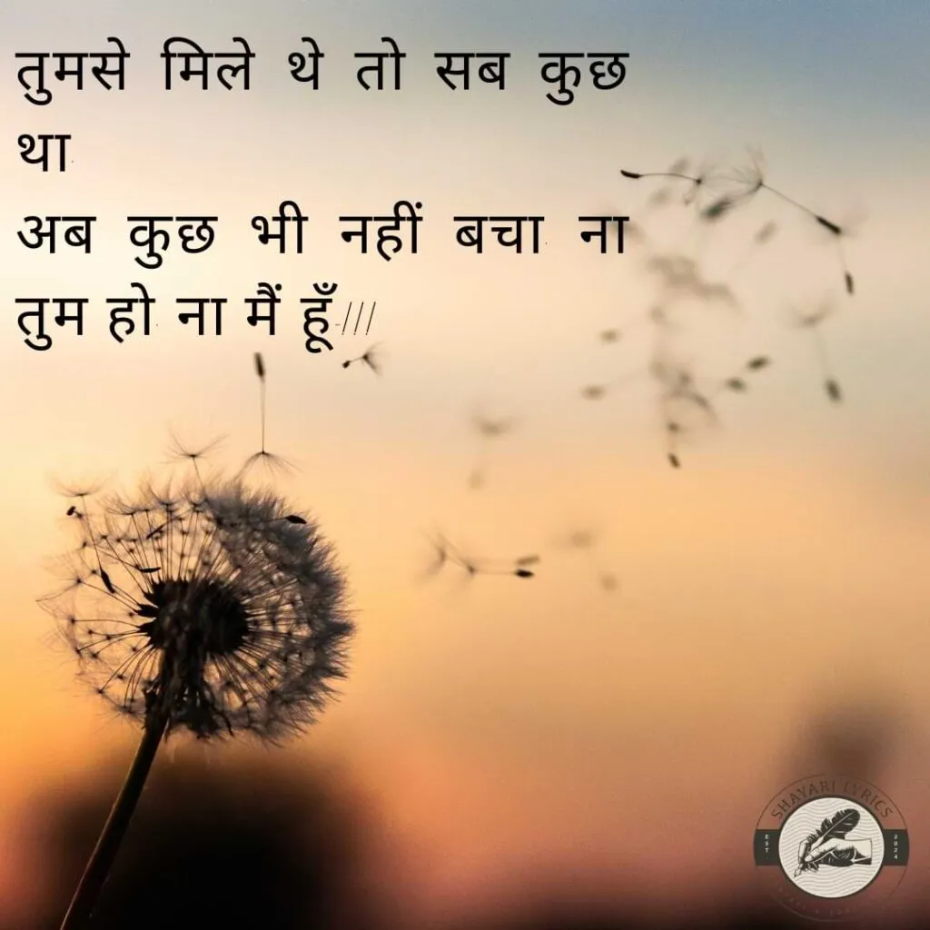तुमसे मिले थे तो सब कुछ था,अब कुछ भी नहीं बचा, ना तुम हो, ना मैं हूँ…!!!