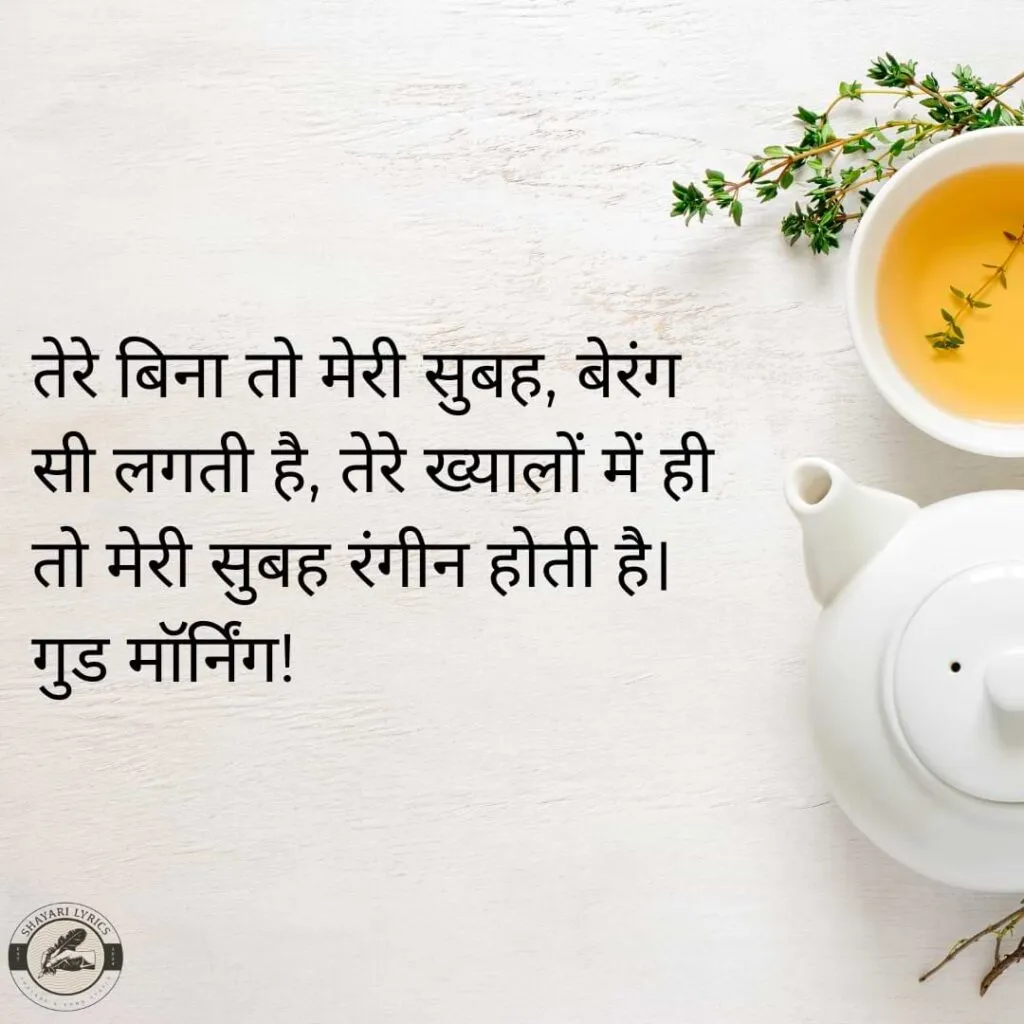 तेरे बिना तो मेरी सुबह, बेरंग सी लगती है, तेरे ख्यालों में ही तो मेरी सुबह रंगीन होती है। गुड मॉर्निंग!