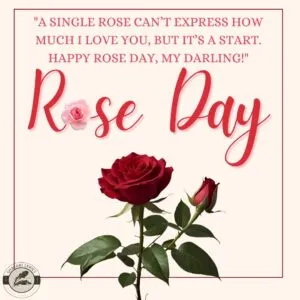 "A single rose can’t express how much I love you, but it’s a start. Happy Rose Day, my darling!"