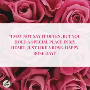 "I may not say it often, but you hold a special place in my heart, just like a rose. Happy Rose Day!"