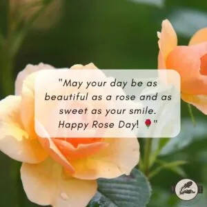"May your day be as beautiful as a rose and as sweet as your smile. Happy Rose Day! 🌹"