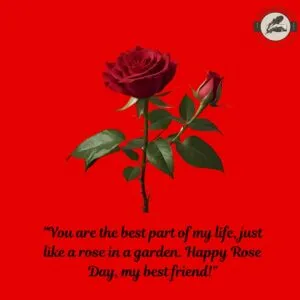 "You are the best part of my life, just like a rose in a garden. Happy Rose Day, my best friend!"