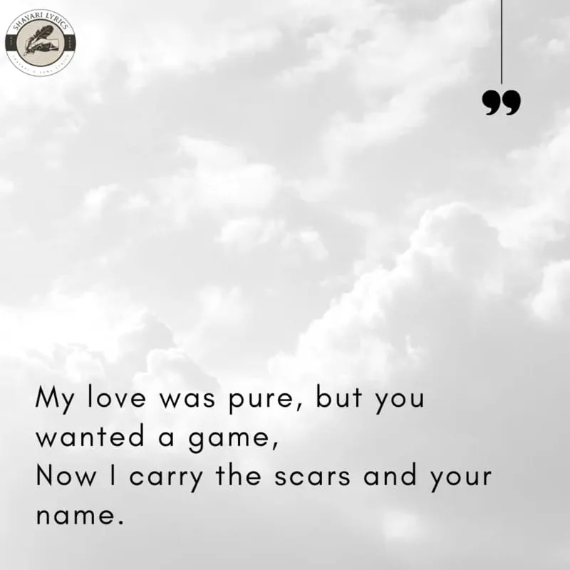 My love was pure, but you wanted a game,Now I carry the scars and your name.