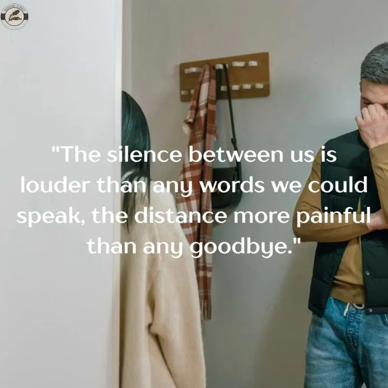 "The silence between us is louder than any words we could speak, the distance more painful than any goodbye."