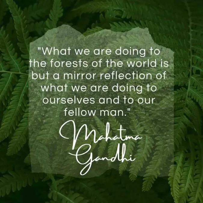"What we are doing to the forests of the world is but a mirror reflection of what we are doing to ourselves and to our fellow man." – Mahatma Gandhi
