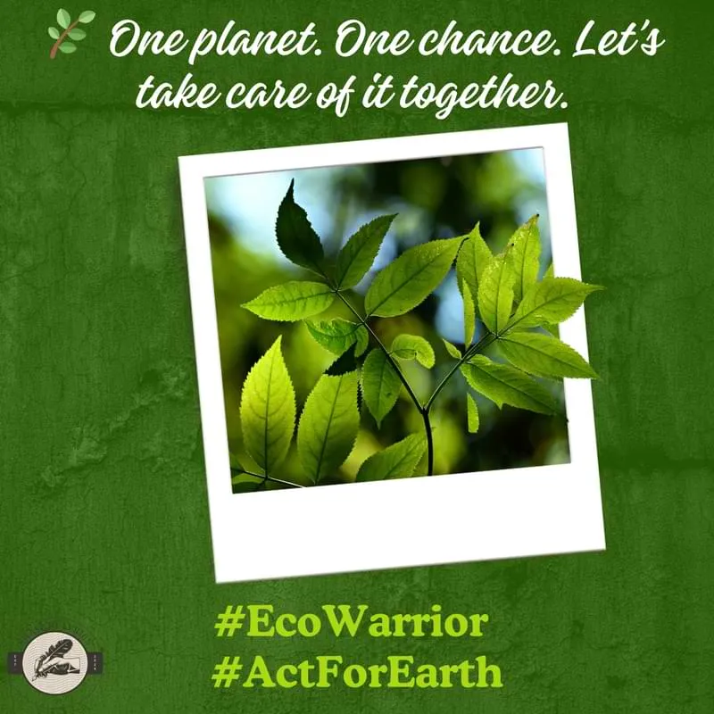 🌿 One planet. One chance. Let’s take care of it together.#EcoWarrior #ActForEarth