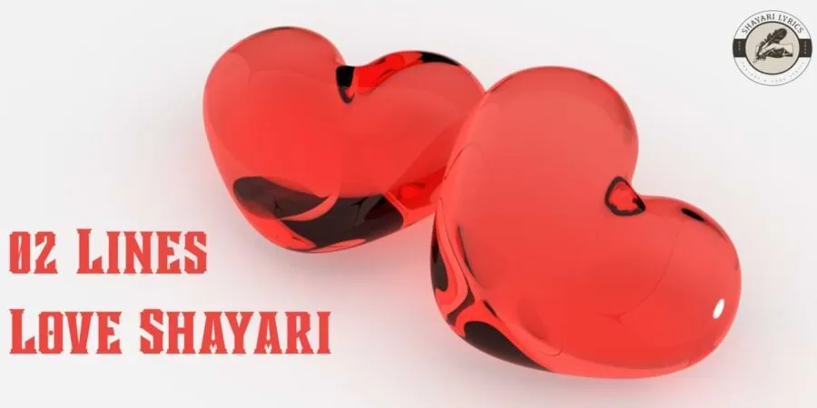 02 Lines Love Shayari