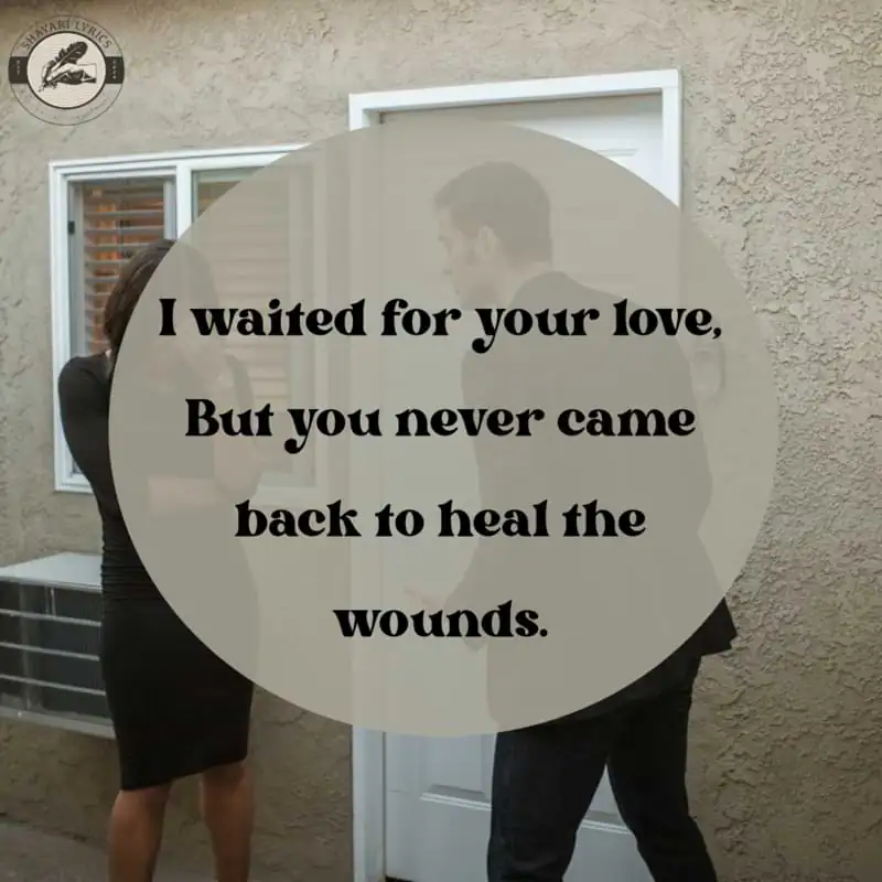 I waited for your love,But you never came back to heal the wounds.