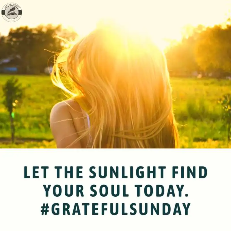 Let the sunlight find your soul today. #GratefulSunday