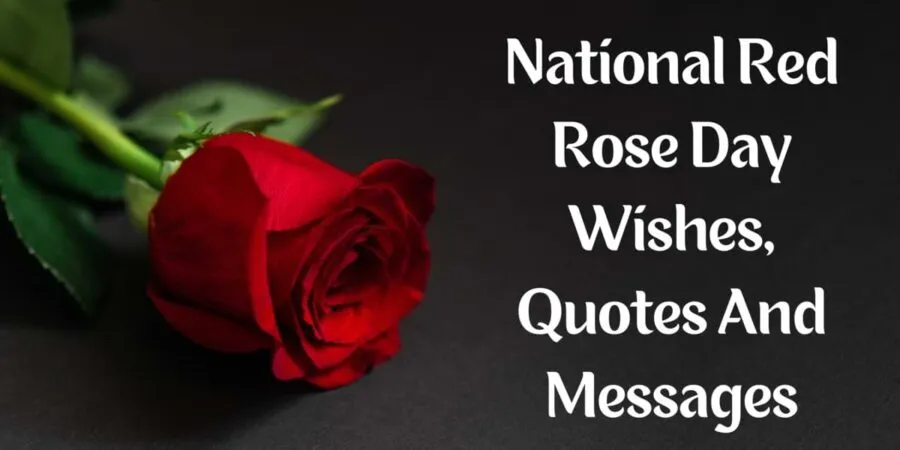 National Red Rose Day Wishes, Quotes