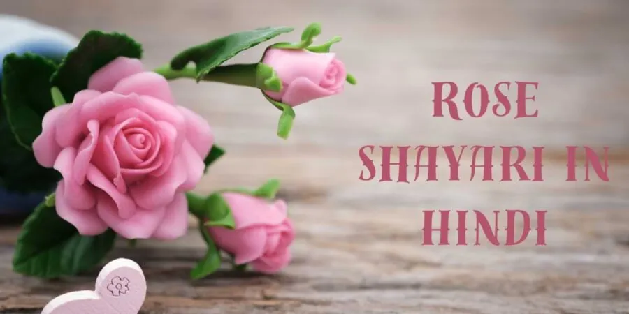 Rose Shayari in Hindi
