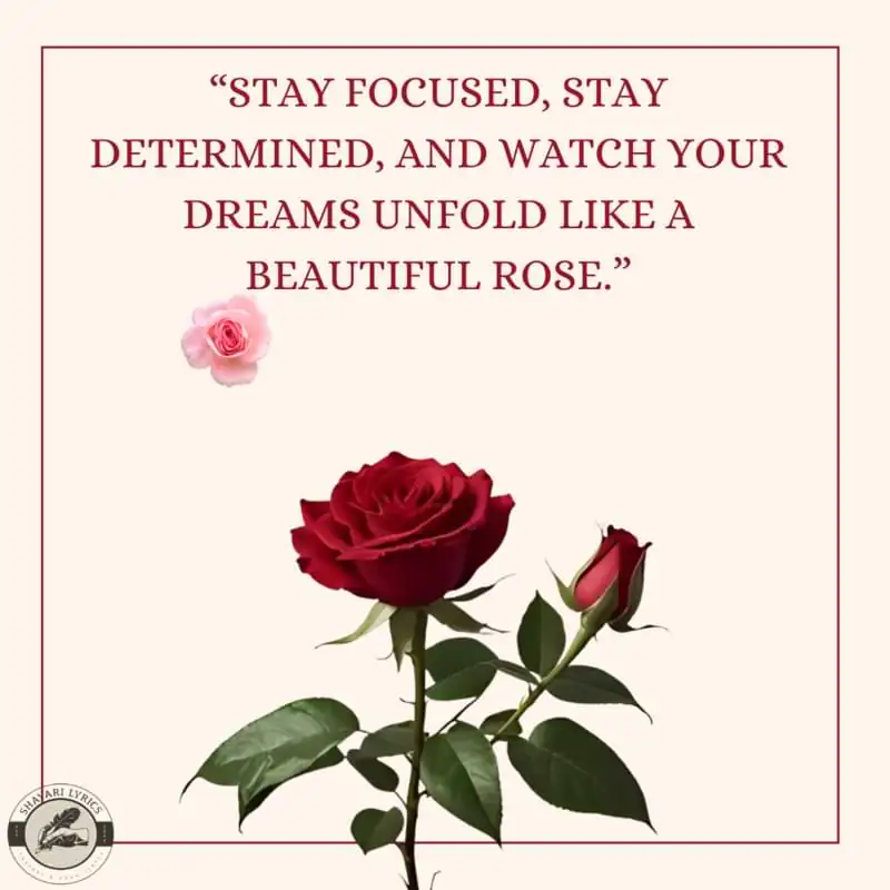 “Stay focused, stay determined, and watch your dreams unfold like a beautiful rose.”