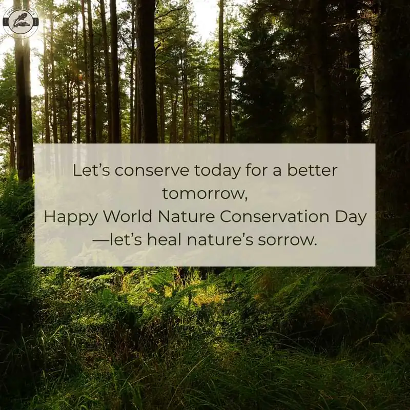 Let’s conserve today for a better tomorrow, Happy World Nature Conservation Day—let’s heal nature’s sorrow.