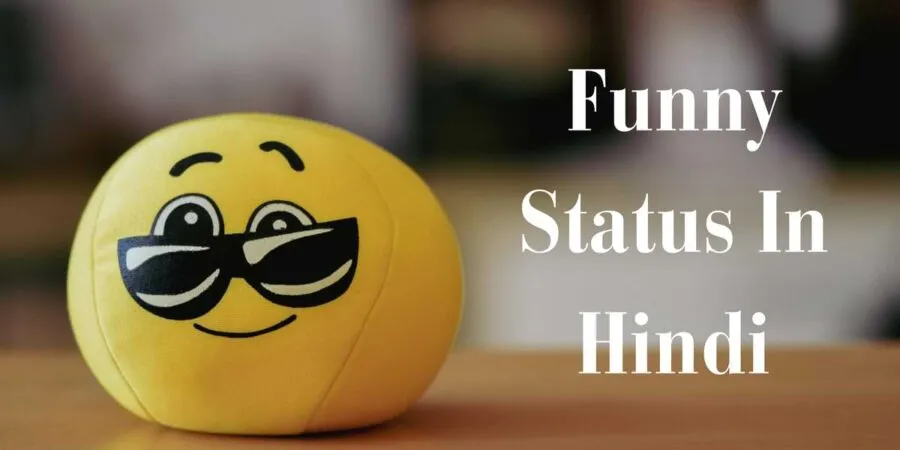 Funny Status In Hindi