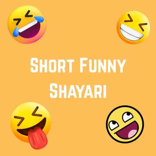 Short Funny Shayari
