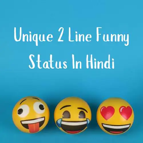 Unique 2 Line Funny Status In Hindi