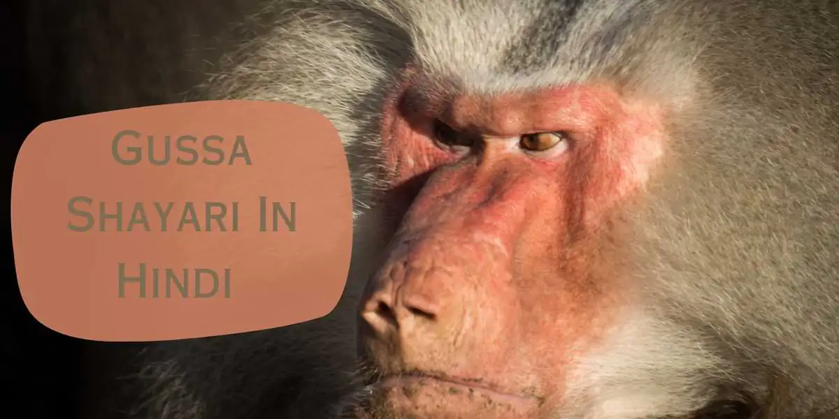 Gussa Shayari In Hindi